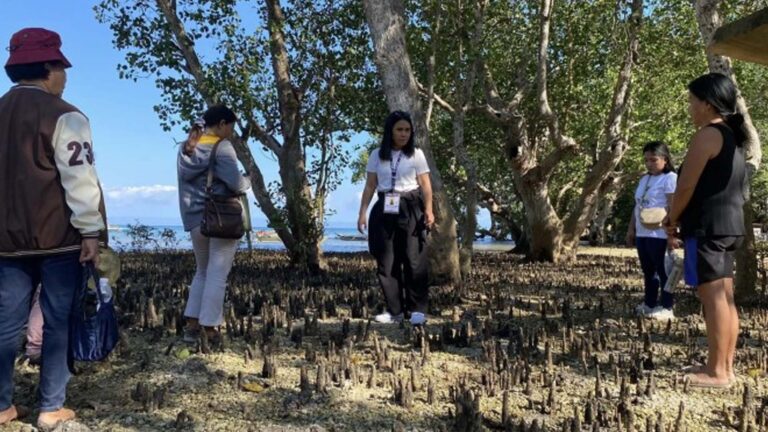 Western Visayas Gets PHP92.3 Million El Niño Response Projects