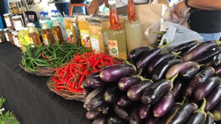 Negros Occidental Sets Monthly ‘Kadiwa Ng Pangulo’ Markets
