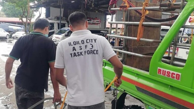 Iloilo City Ready To Be Declared ‘Locally’ Free From African Swine Fever