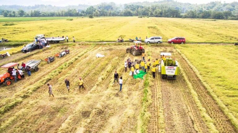 DBM: PHP4.5 Billion Crop Insurance Budget Released
