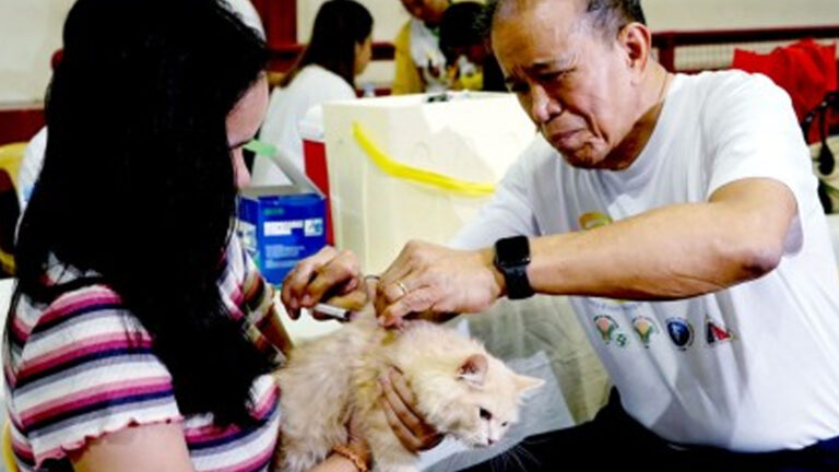 Avail Of Free Anti-Rabies Shots For Pets, Department Of Agriculture Urges Owners