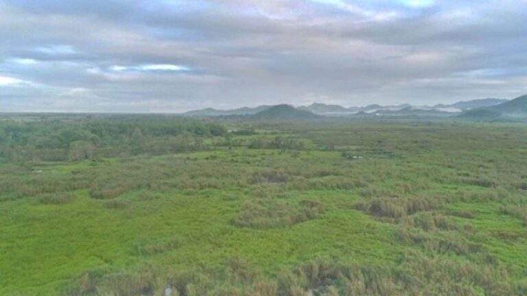 DENR Reiterates Measures To Preserve ‘Threatened’ Leyte Peatland