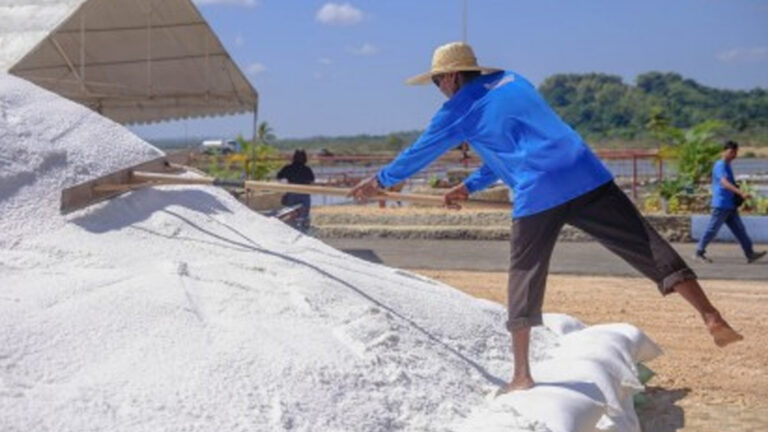 DENR To Map Public Lands, Municipal Waters Suitable For Salt Farming