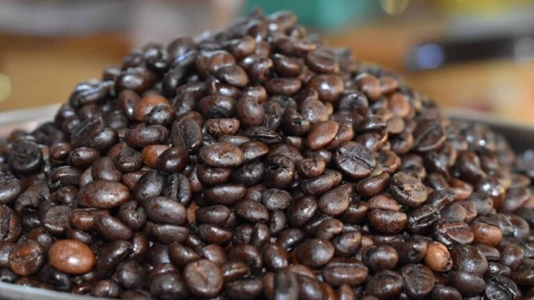 Sagada Coffee Farmers Affected By Forest Fires To Get Aid Soon
