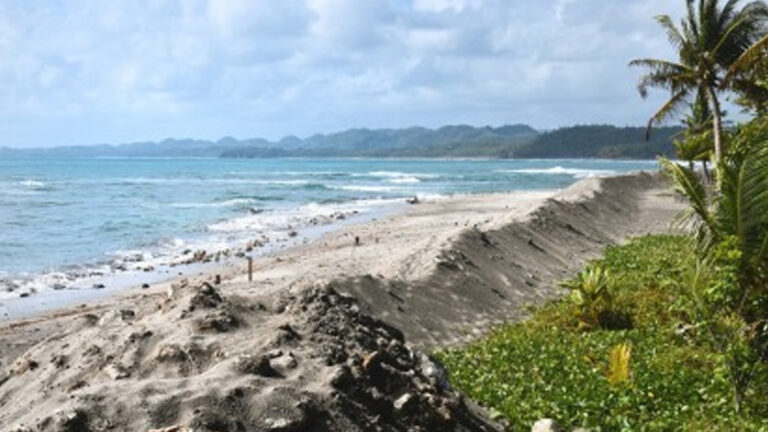 Borongan City Seawall Project Stopped Over Environmental Issue