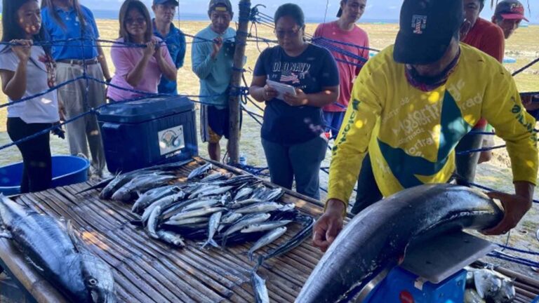 Opportunities Come In Waves For ‘Lambaklad’ Fisherfolk In Ilocos Town