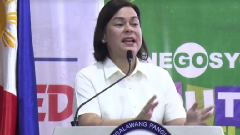 VP Sara: Biz Mentorship To Address Skills Mismatch Among Learners