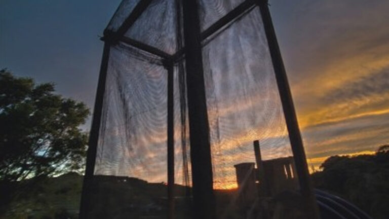 Startup Benguet Firm Catches Mist To Help Solve Water Shortage