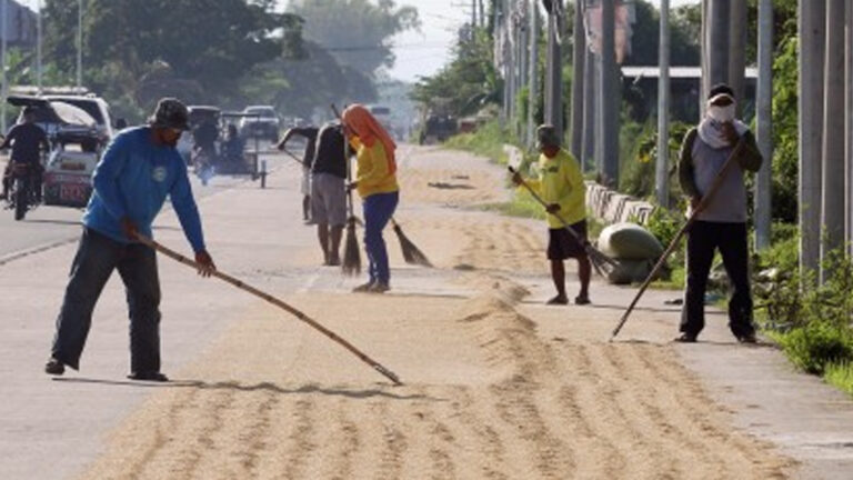 DA Backs RCEF Extension; Highlights Post-Harvest, Mechanization