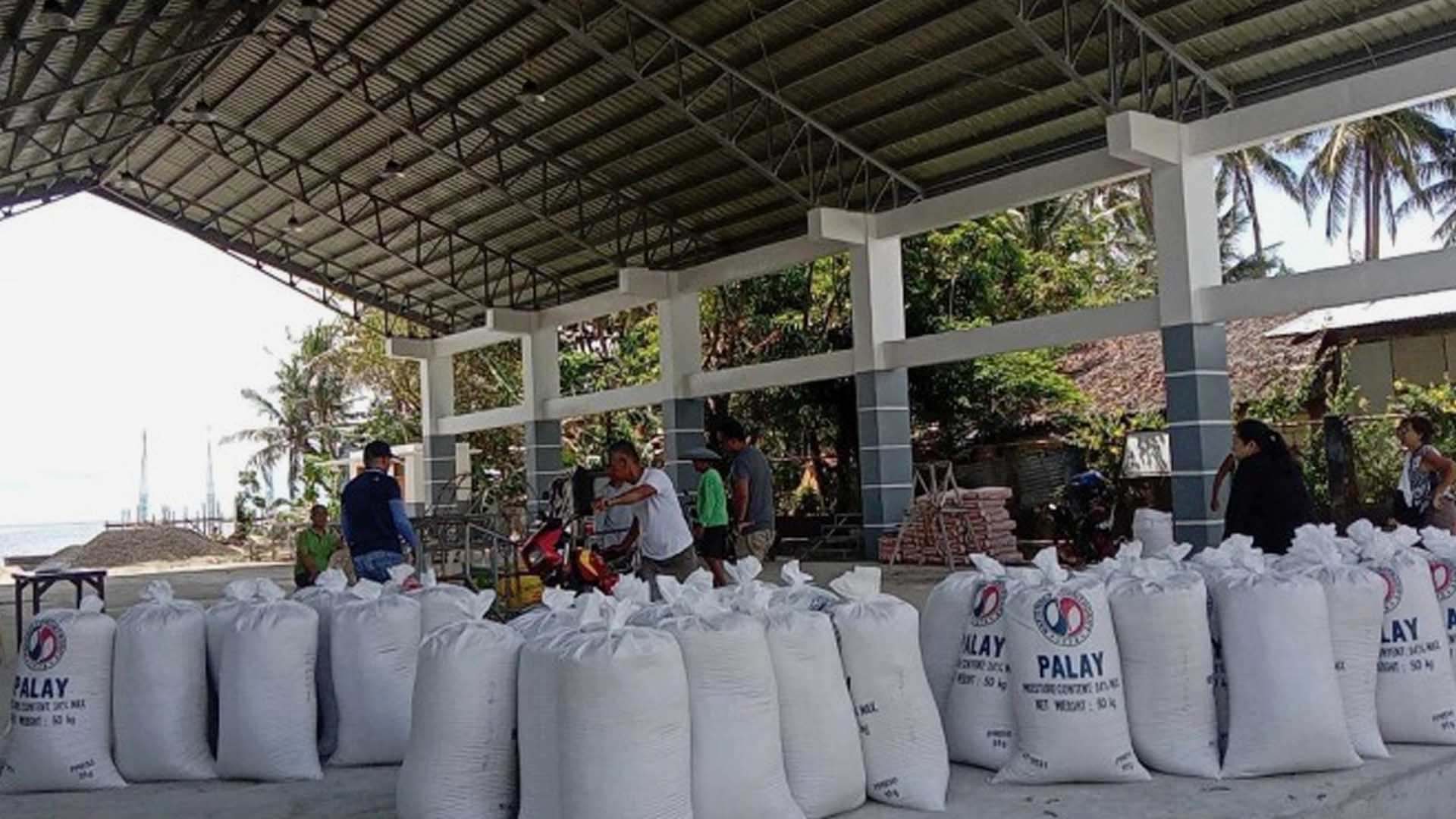 NFA-Bicol Says Funds ‘Sufficient’ To Buy Palay From Local Farmers