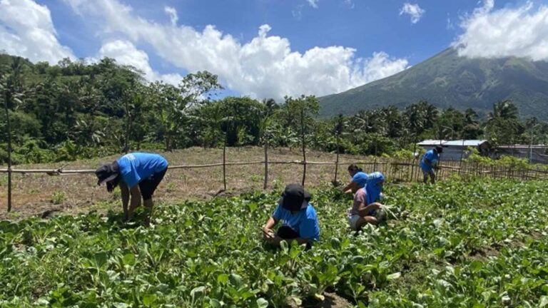 From Tragedy To Opportunity: Albay Women Planters’ Tales Of Resilience