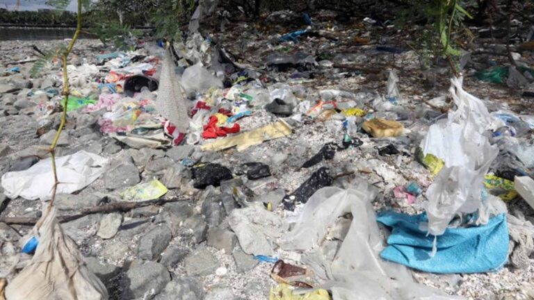 DENR Collection Contest Involves Youth In Fight Vs. Plastic Pollution