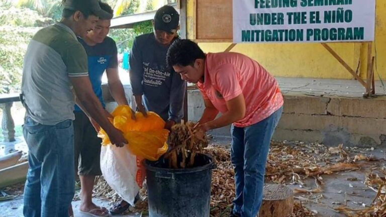 4 North Cotabato Towns Under State Of Calamity, Crop Damage At PHP650 Million