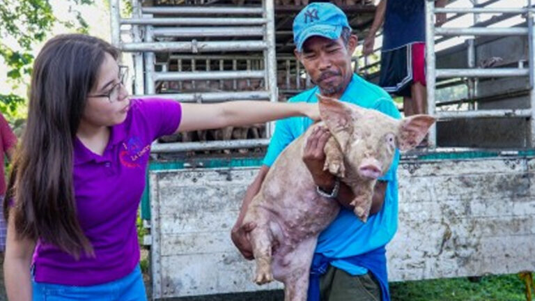 La Union Provides Vet Services To Farm Animals To Combat El Niño