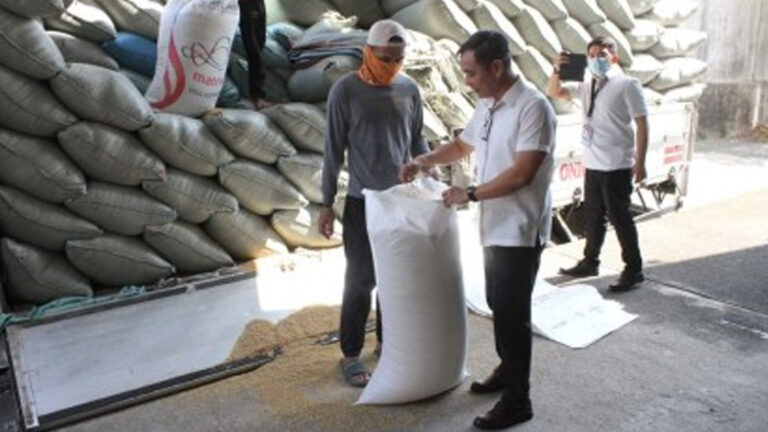 National Food Authority: 170K Bags Of Palay In 3 Days With New Buying Price Scheme