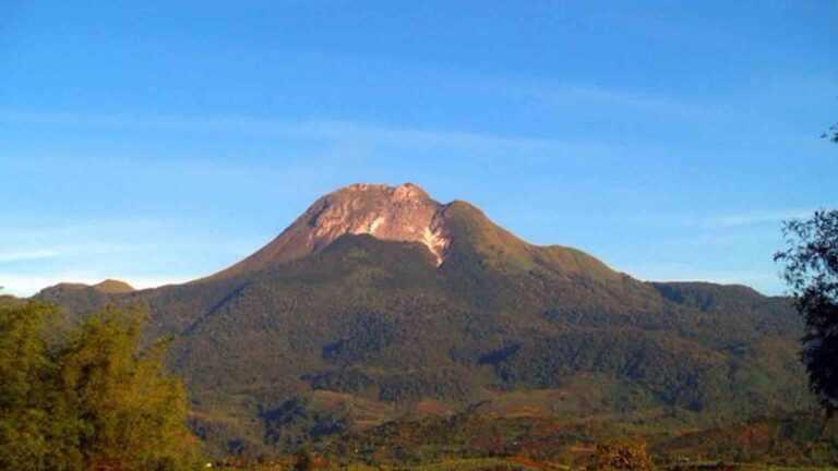 Critically Endangered Wildlife Sighted In Mt. Apo