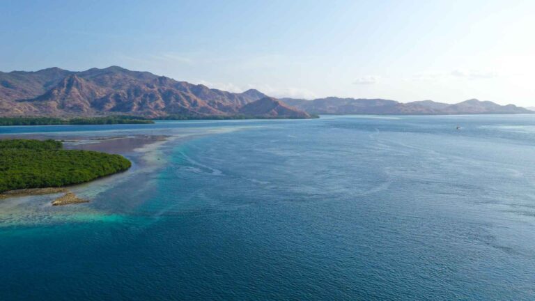 CCC Launches Ocean Month Drive For Marine Ecosystem Sustainability