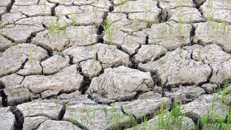 DA-CAR Gives PHP31 Million Aid To El Niño-Affected Farmers