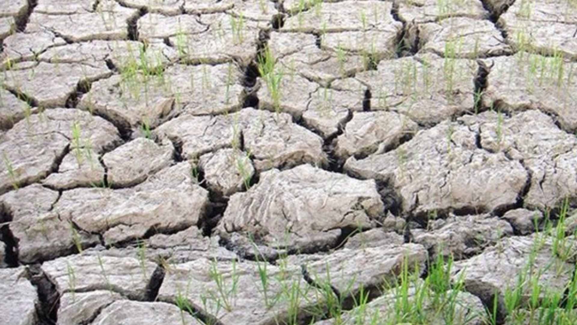 DA-CAR Gives PHP31 Million Aid To El Niño-Affected Farmers