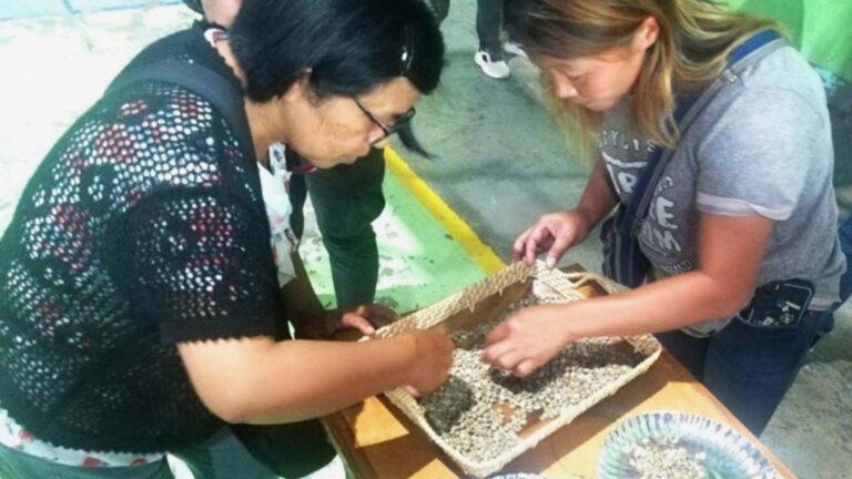 La Trinidad Coffee Industry Booming As Tourism Progresses