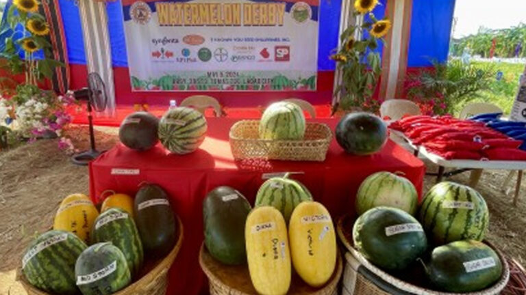 Smart Crops To Raise Income Of Farmers Amid El Niño