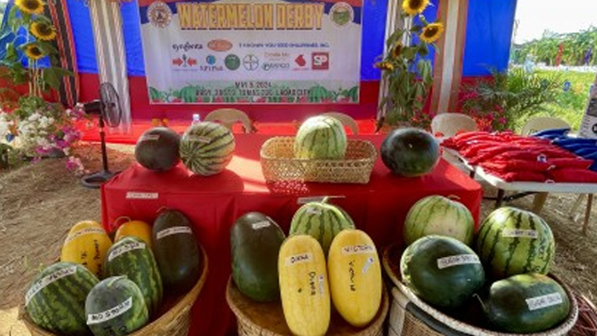Smart Crops To Raise Income Of Farmers Amid El Niño