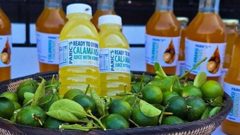 Oriental Mindoro ‘Calamansi’ Industry Gets Major Funding From Korean Agency