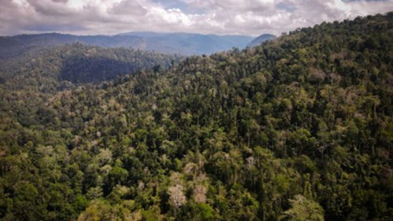 Pasonanca Park As ASEAN Heritage Park Proof Of Government Conservation Efforts