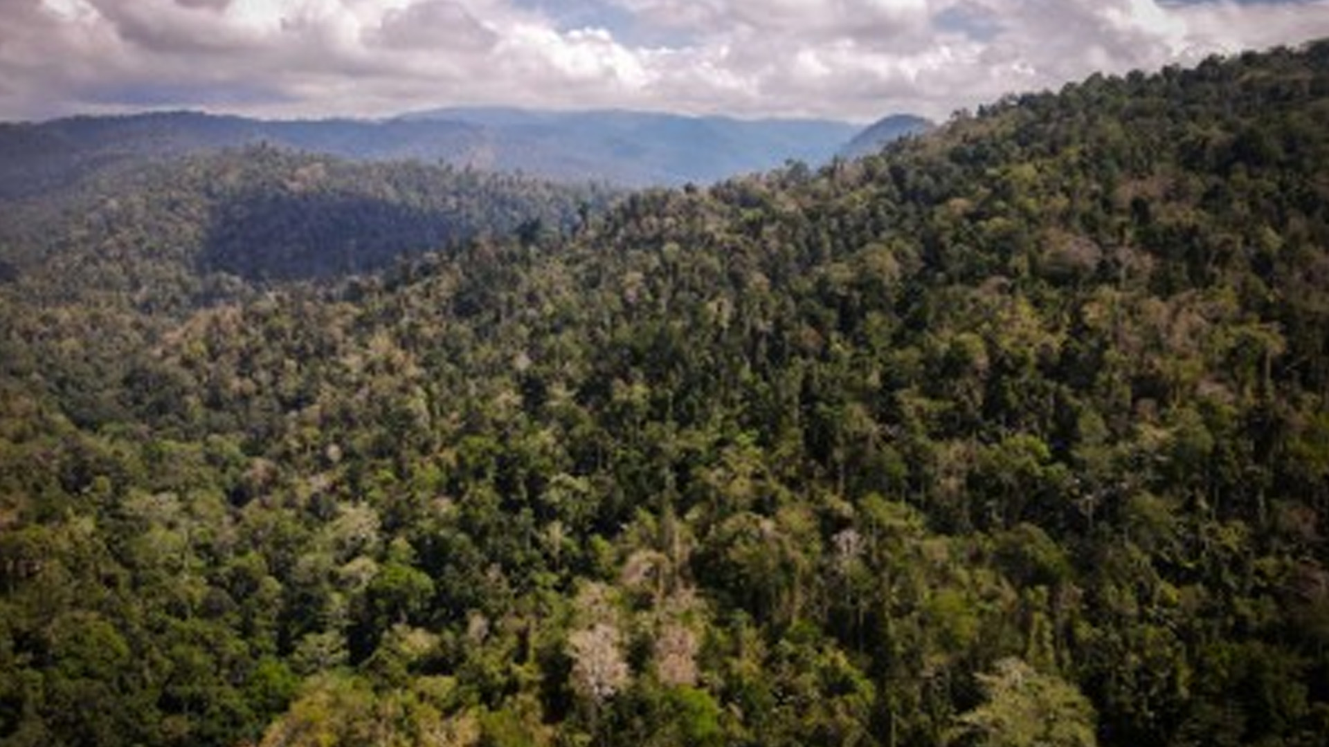 Pasonanca Park As ASEAN Heritage Park Proof Of Government Conservation Efforts