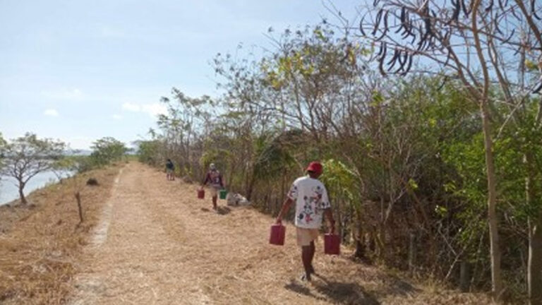 Iloilo City Targets To Plant 100K Trees This Year