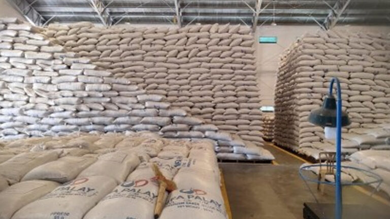 NFA-Ilocos Norte Secures Stockpile For Rainy Days