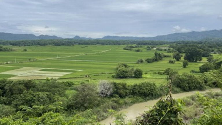 Contract Farming Scheme For Ilocos Norte Farmers To Boost Productivity