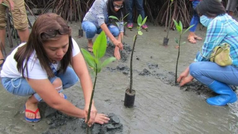 Pangasinan Tree-Planting Activities Boosted At Onset Of Rainy Season