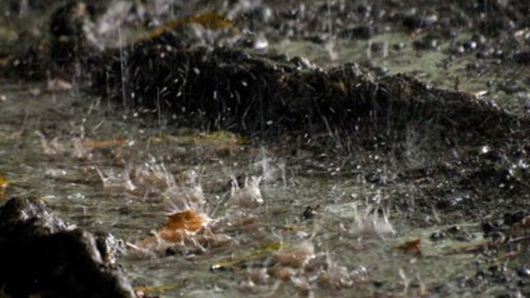 Improve Flood Control By Storing Rainwater For Irrigation