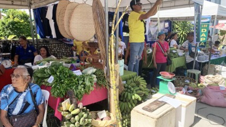 DA-13, Farmer Groups Open Kadiwa Market Fair, Services In Siargao