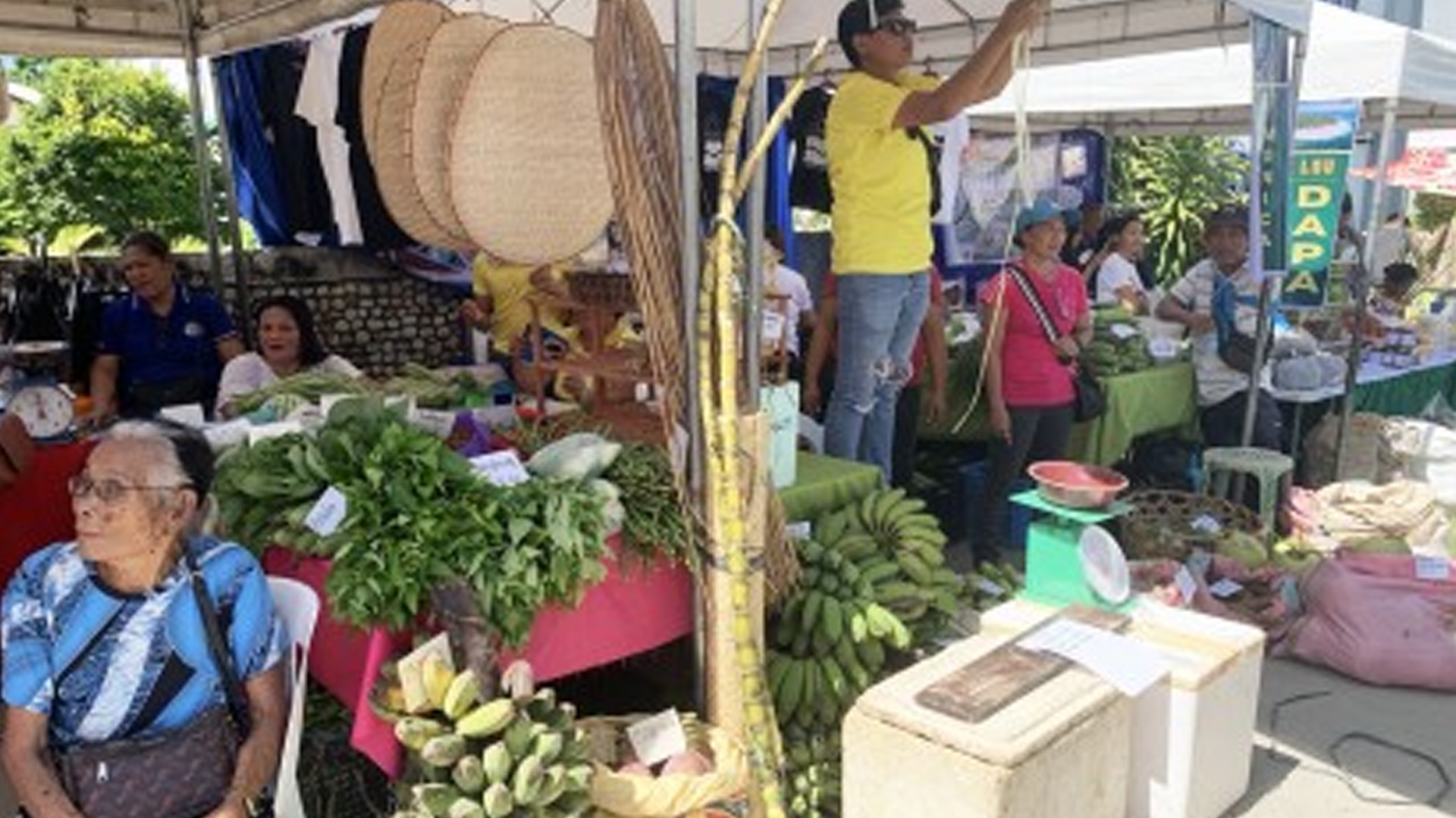 DA-13, Farmer Groups Open Kadiwa Market Fair, Services In Siargao
