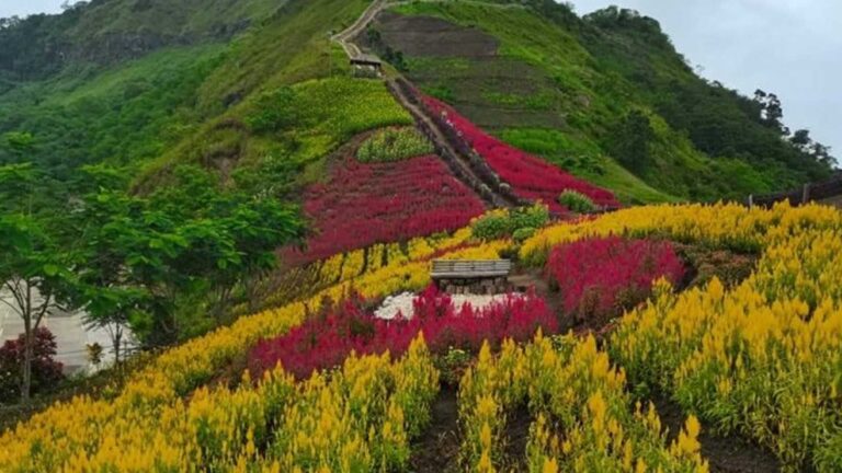 President Marcos Signs Ecosystem And Natural Capital Accounting Law