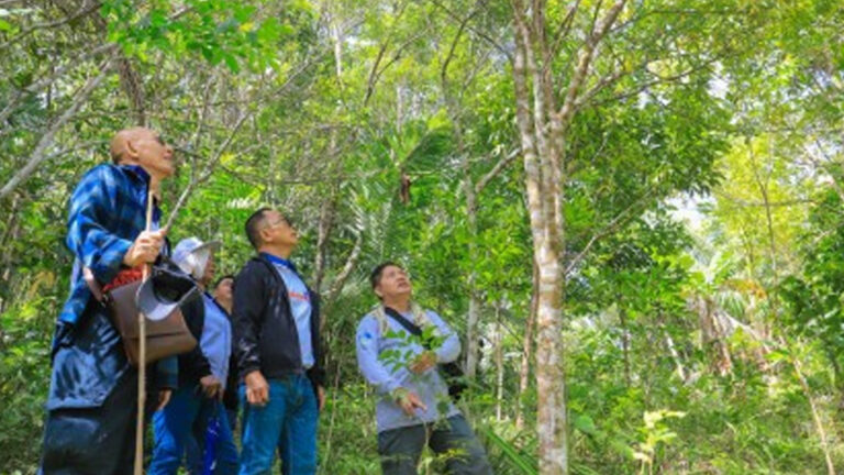 DPWH Plants 344K Replacement Trees Cut Due To Road Projects In Leyte