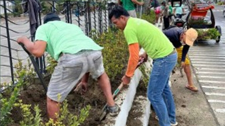 More Native Seedlings Needed For Massive Tree-Growing Activity
