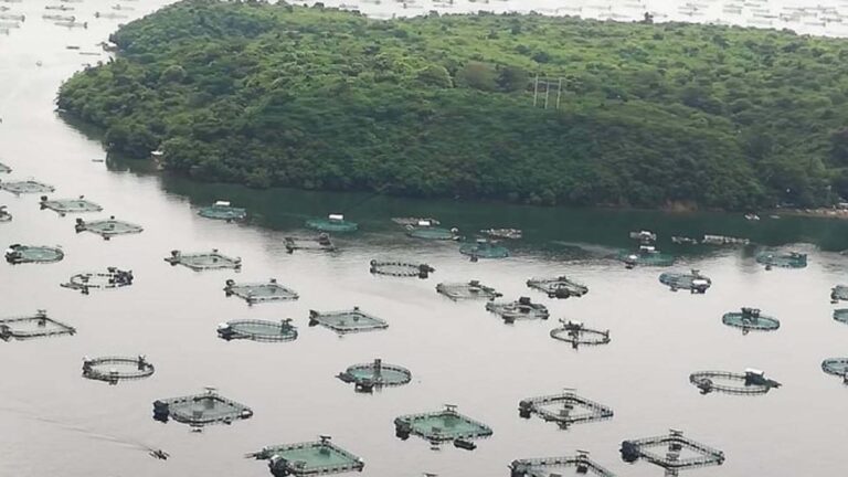 Bridge To Boost Mobility, Economy Of Santiago Island
