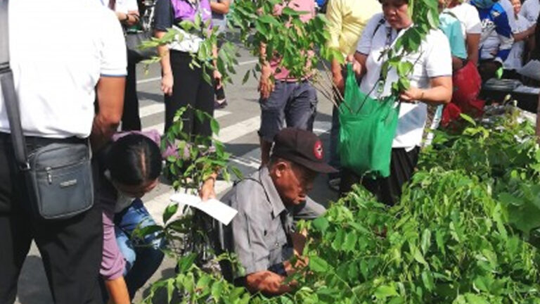 2023 Abra Floods Emphasize Relevance Of Reforestation