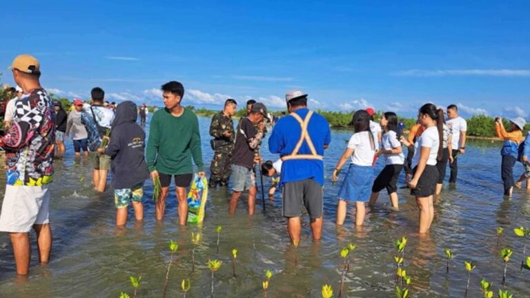 1K Mangrove Propagules Planted In Ilocos Norte’s Coastal Village