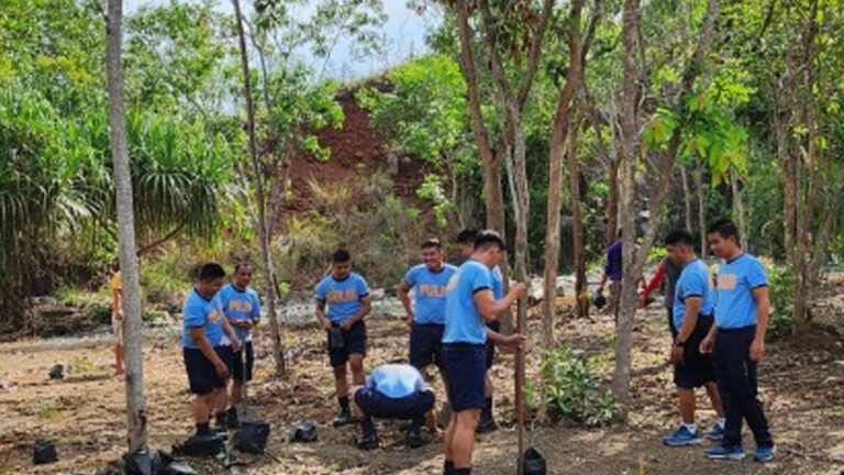 DENR Sets Planting Of 2.5K Narra Seedlings In Pangasinan