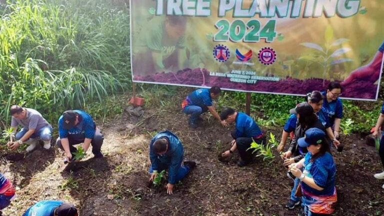 DPWH Plants 11K Tree Seedlings; Pledges To Help Protect Environment