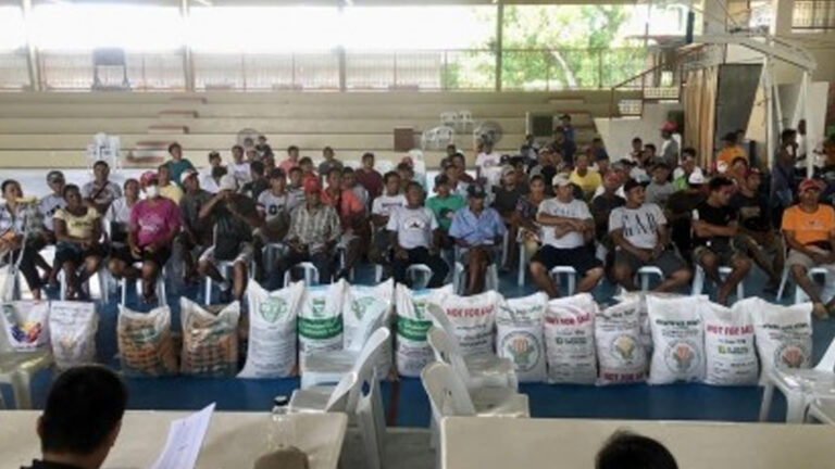 Ilocos Rice Farmers Get Hybrid Seeds For Wet Season