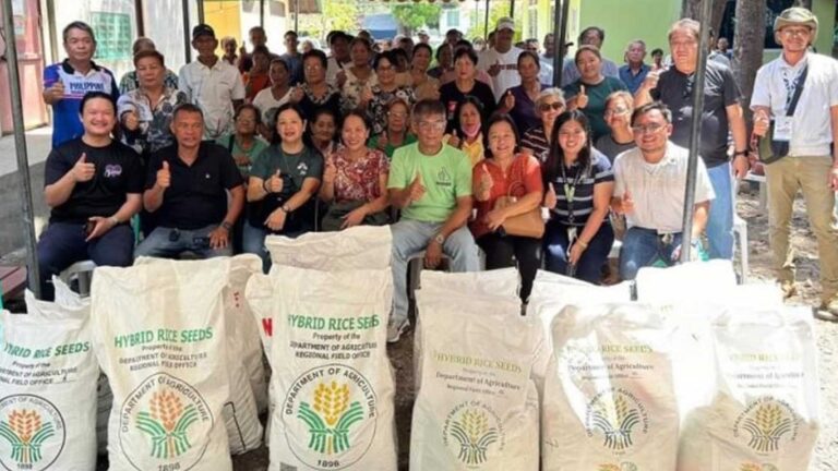 Bago City Rice Farmers To Boost Yield Using Masagana 200 Hybrid Seeds