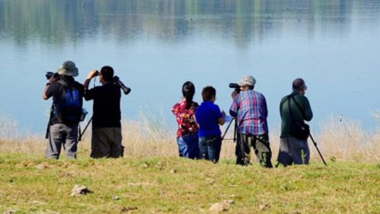 DOT Eyes Taiwan Model For Ilocos Birdwatching Tourism
