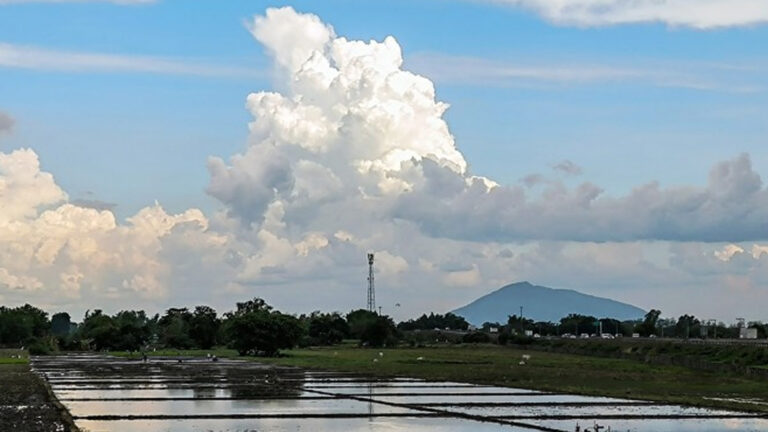 Department Of Agriculture Interventions Ready For Looming La Niña