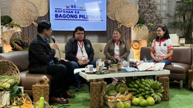 5.3K E-Titles Released In Davao Region Under Marcos Admin