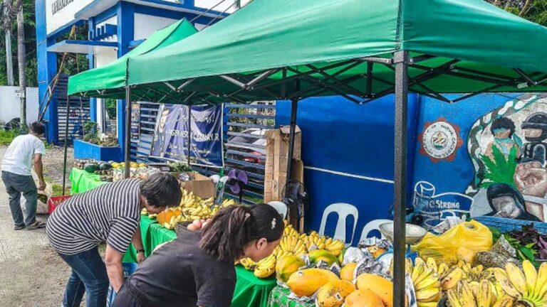 Camarines Sur Farmers Earn PHP449 Thousand From DAR Agri-Fair Project